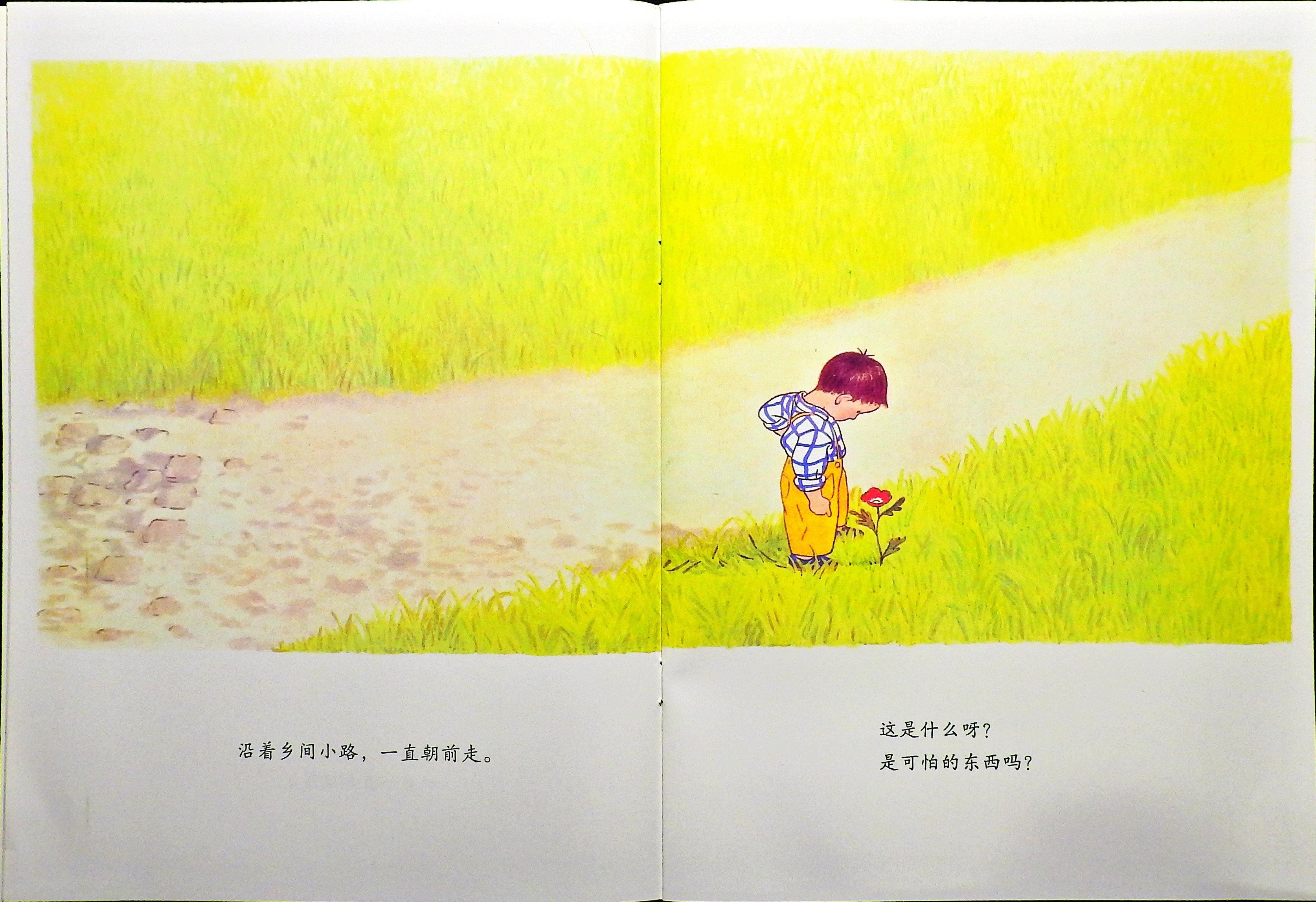 我一直一直朝前走 (06),绘本,绘本故事,绘本阅读,故事书,童书,图画书,课外阅读
